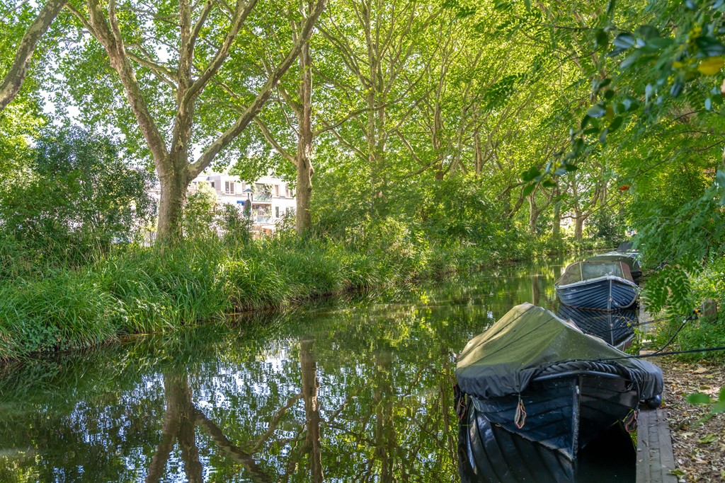 Fotoreportage - 49.jpg